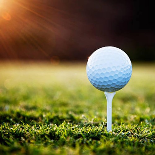 83MM Plastic Golf Tees 4 Prongs Short Tees Golf Practice Golf
