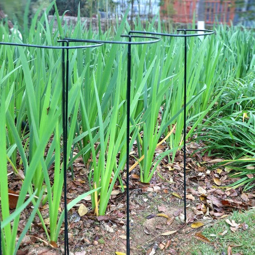 10PCS Garden Plant Support Ring Semi-Circular Flower Plant Trellis Sta