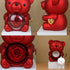 files/12_31e4ba83-f8eb-43c8-9635-a10ba4d4adf2.jpg