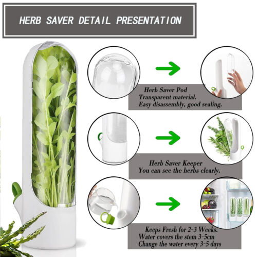 6Pcs Vegetable Herb Storage Containers Asparagus Fresh Produce Keeper