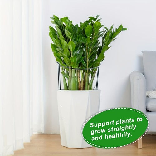 10PCS Garden Plant Support Ring Semi-Circular Flower Plant Trellis Sta