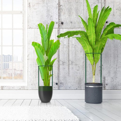 10PCS Garden Plant Support Ring Semi-Circular Flower Plant Trellis Sta