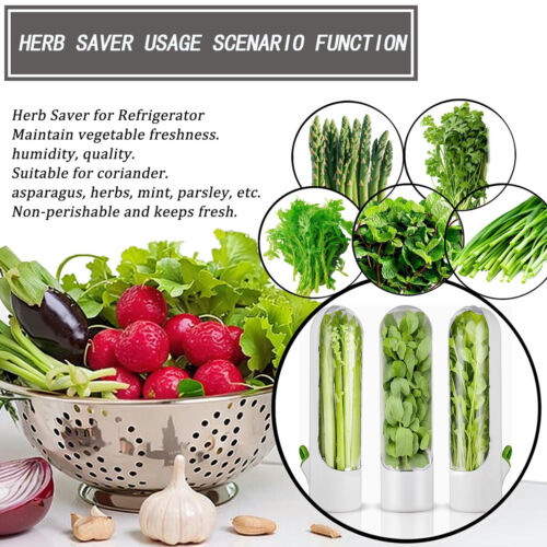 6Pcs Vegetable Herb Storage Containers Asparagus Fresh Produce Keeper