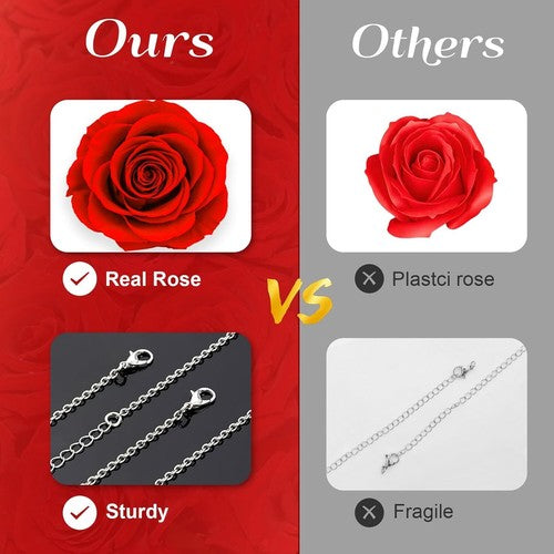 Eternal Rose Bear with Necklace Exquisite Gift Box for Valentine's&Mot