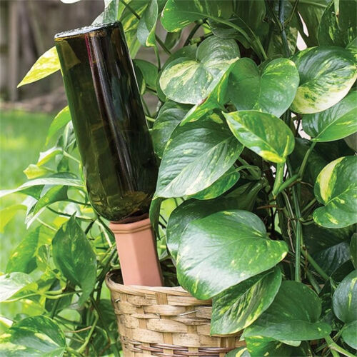 Terracotta Auto Plant Self Watering Spikes Water Drip Irrigati
