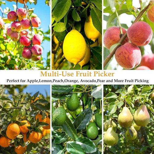 3.2M Fruit Picker Pole with Basket Telescoping Fruit Picker Tool with