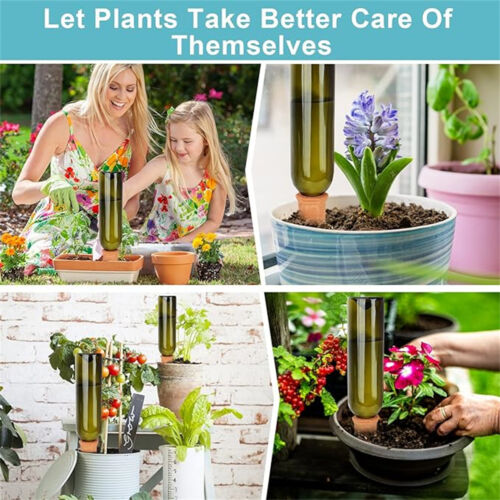Terracotta Auto Plant Self Watering Spikes Water Drip Irrigati