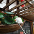 files/12_e60b66fa-72e8-434d-a745-fe08a10a972a.jpg