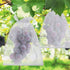 files/1_03a22e46-faba-4849-8b52-f3321e89cedf.jpg