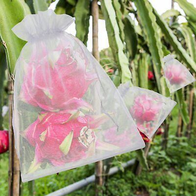 50x Fruit Net Bag Agriculture Garden Vegetable Protection Mesh Insect