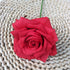 files/3_4d8e5ae0-f504-40eb-a06e-8af0471a1ac0.jpg