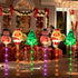 files/57_c5d011bc-7925-4980-8af3-acb84c8ed20c.jpg