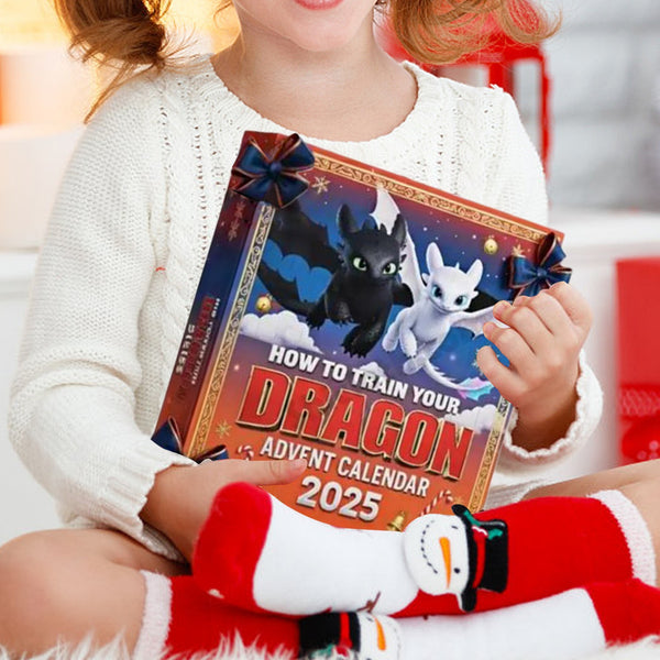 How to Train Your Dragon Tootless 24 Days Christmas Countdown Advent C