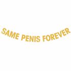 Bride To Be SAME PENIS FOREVER Glitter Bunting Wedding Banner Hens Night Party A