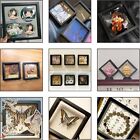 20 PCS Square 3D Floating Jewelry Coin Display Frame Holder Box Case with Stands