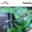 Aquarium Fish Tank Shrimp Food Feeder Clear Glass Feeding Dish Tank Accessory