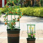 Plant Stake for Plant Support Ring Plant Cage Holder Flower Pot Climbing Trellis