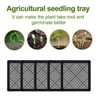 Seedling Tray Fine Hole Plant Propagation Seedling Hydroponic 42x42x5.5cm