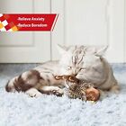 2PCS Real Chirping Indoor Bored Interactive Cat Toy Bird Electronic Kitten Toys