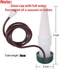 20X Automatic Watering Spikes System Houseplant Garden Plant Self-Watering Syste