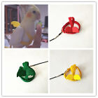 Adjustable Pet Parrot Bird Harness Lead Leash Flying Training Rope Cockatiel AUS