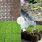 UP20 Set 72 Holes Plant Seeds Grow Box Propagation Nursery Seedling Starter Tray