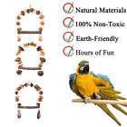 Parrot chew toy for training climbing grinding teeth relief durable bird toy