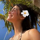 5X Sweet Style Plastic Flower Hair Claws Big Round Solid Color Foam Plumeria