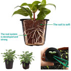 200PCS Plastic Plant Flower Pots Nursery Seedlings Growing Garden Plant Pots AU