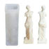 Silicone Body Candle Mold 3D Art DIY Making Human Torso Soap Wax Resin Mould AUS