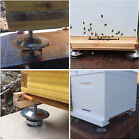 8x ant proof hive feet Stainless Steel hive stand hive legs ant-proof Bee tools