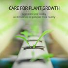 40pcs Hydroponics Plant Grow Net Cup Mesh Pot Basket Mesh Aeroponic Aquaponic AU