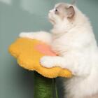 Cat Tree Climbing Frame Scratching Post Cat Nest Small Cat Activity Furniture