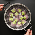 Stainless Steel Steamer Tray Kitchen Drain Basket Fruit Rack for Buns Cooking