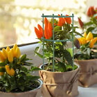 Half Round Garden Plant Vegetable Flower Support Stakes Sturdy Support Ring Cage