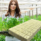 Grow Starter Rockwool Cubes Plug Hydroponic Planting Cloning Propagation