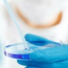 40PCS Plastic Petri dishes with lid 90x15mm Pre-sterile Polystyrene New AU