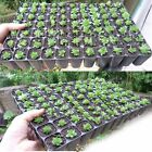 UP20 Set 72 Holes Plant Seeds Grow Box Propagation Nursery Seedling Starter Tray