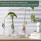 Plant Propagation Station Buddy Support Holding Stake For Sprouts Stems Shoots