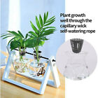 40pcs Hydroponics Plant Grow Net Cup Mesh Pot Basket Mesh Aeroponic Aquaponic AU