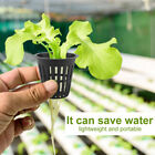40pcs Hydroponics Plant Grow Net Cup Mesh Pot Basket Mesh Aeroponic Aquaponic AU