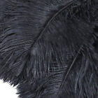 10pcs 35-40cm Black Ostrich Feathers Plume Centerpiece Wedding Party Table Decor