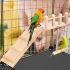 Bird Swing Toy Wooden Parrot Perch Stand Playstand Beads Cage Playground