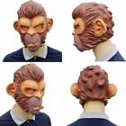 1x Latex Head Mask Adult Pig Cat Head Mask Animal Cosplay Costume Toy Party Prop