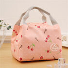 Portable Insulated Thermal Cooler Lunch Box Carry Tote Picnic Case Storage Bags