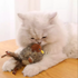 files/s-l140_77c821e9-527f-4d7f-99d4-bc32b9a2a7d1.png