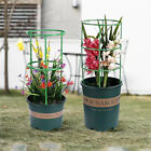 Plant Stake for Plant Support Ring Plant Cage Holder Flower Pot Climbing Trellis