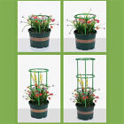 Plant Stake for Plant Support Ring Plant Cage Holder Flower Pot Climbing Trellis