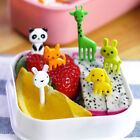 40/60 Pcs Mini Kids Animal Food Fruit Picks Forks Lunch Box Accessory Decor Tool