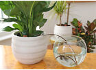 20X Automatic Watering Spikes System Houseplant Garden Plant Self-Watering Syste
